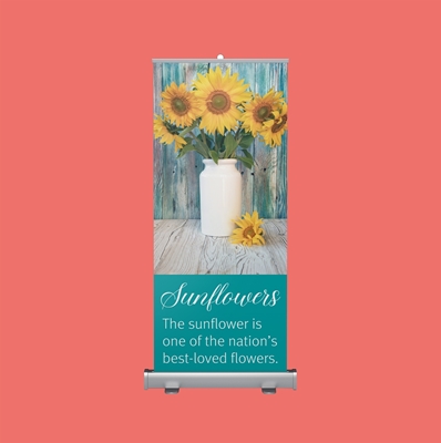 Picture for category Roll-up Banners